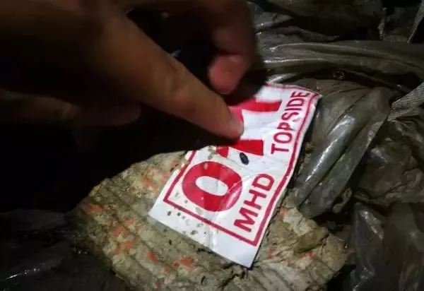 金平私挖走私凍肉事件調(diào)查：挖一斤可賣5元，一過秤就給錢