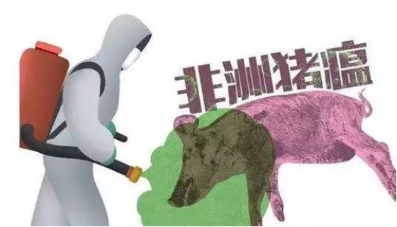 關(guān)注 | 泉州：所有涉“非瘟”品牌產(chǎn)品不分批次全部下架？