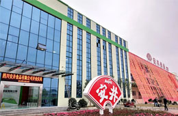 安井只是賣丸子的？不，它已成速凍品類“三劍客