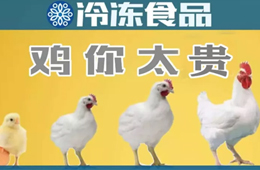量價齊升，養(yǎng)白羽肉雞咋還虧了？