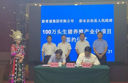 新希望六和落子渝豫甘，生豬規(guī)模再增200萬頭！