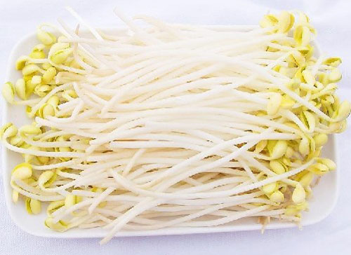 視頻 | 只知道大張超市厲害，沒想到它的豆芽工廠也這么牛