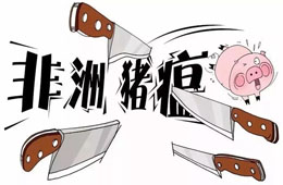 官宣 | 農(nóng)業(yè)農(nóng)村部：28省非瘟疫區(qū)解除封鎖，“豬荒”年底前有望緩解