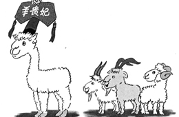 比去年同期上漲35%，價(jià)格井噴的“羊貴妃”路在何方？