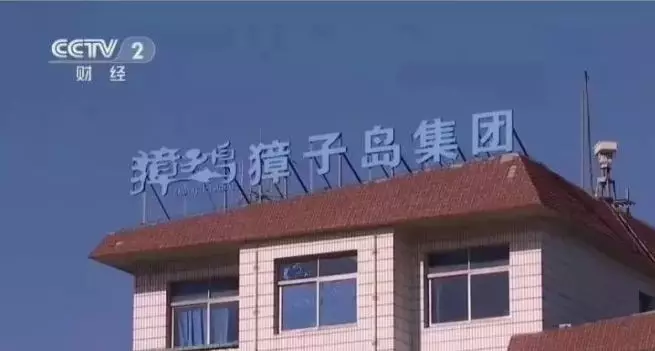獐子島3億元扇貝“集體暴斃”？