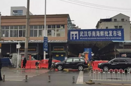 武漢華南海鮮市場元旦起休市，恢復營業(yè)時間未定