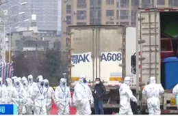 武漢華南海鮮市場完成大規(guī)模消殺；牛蛙、烏龜不列入禁食范圍