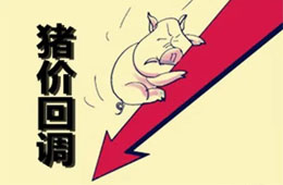  農(nóng)業(yè)農(nóng)村部：豬肉價(jià)格連8周回落，高峰或在9月前后出現(xiàn)