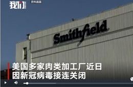 史密斯菲爾德、泰森等國外肉類巨頭停工，或引發(fā)全球“肉慌”？
