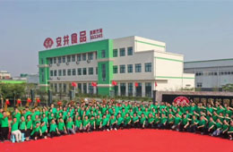 華南基地簽約，河南工廠揭牌，安井 “銷地產(chǎn)”布局又有新動作