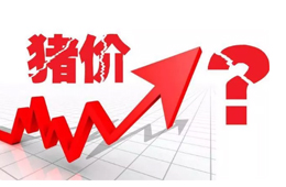 豬價(jià)又“變臉”，新一波漲勢(shì)來(lái)了？農(nóng)業(yè)農(nóng)村部：或持續(xù)到元旦春節(jié)