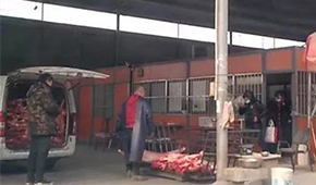 又見瘦肉精，河北青縣問題羊肉流向河南等地！當(dāng)?shù)卣o急回應(yīng)