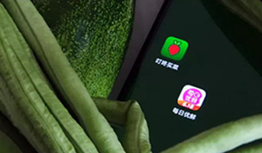 叮咚買菜、每日優(yōu)鮮接連上市，是否持續(xù)利好預(yù)制菜成為“家常菜”？