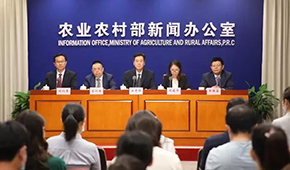 豬價(jià)下跌豬企承壓，有企業(yè)半年預(yù)虧34.5億，國(guó)家第三次出手收儲(chǔ)