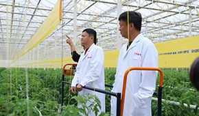 馬家廚房？馬家秘制老鴨煲？馬云的“假動作”為何讓市場興奮？