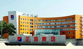 “江西豬王”易主，雙胞胎正式入主正邦