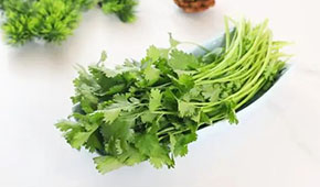 香菜餅、香菜丸、香菜油條、香菜小酥肉…香菜為啥這么“香”？