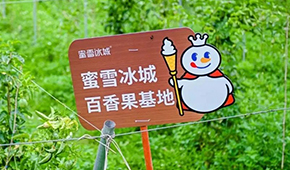 今日上市！覆蓋全球六大洲38個(gè)國(guó)家，“雪王”的采購(gòu)網(wǎng)到底有多牛？