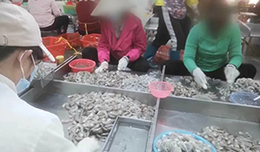 3·15晚會曝光凍蝦仁超量添加保水劑，相關(guān)企業(yè)產(chǎn)品下架